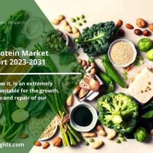 Plant Based Protein Market is Expected to reach US$ 23,086.0 Mn with 7.1% CAGR Forecast to 2031