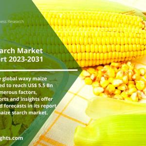 Waxy Maize Starch: Unlocking the Potential of the Global Market The Future of the Food Industry