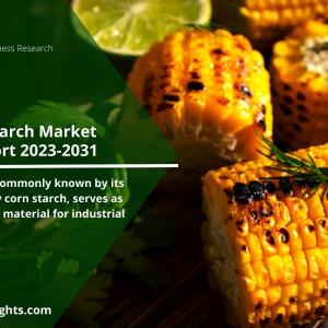 Waxy Maize Starch: Unlocking the Potential of the Global Market The Future of the Food Industry