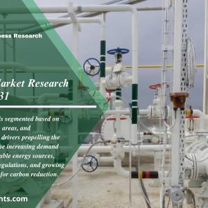 Pyrolysis Oil Market Size, Outlook and Forecast 2022-2031