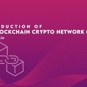 Guest Post Article- Ace Blockchain Crypto Network
