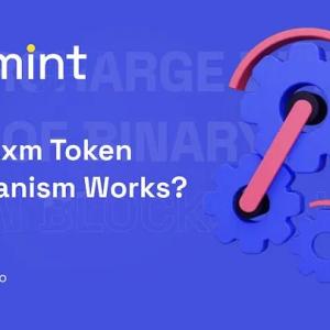 How AXM Token Mechanism Works?