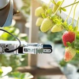 Agtech Market  See Huge Growth for New Normal | Research Informatic