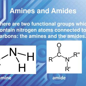 Global Amines  Market Trend, Growth and Forecast 2022-2027