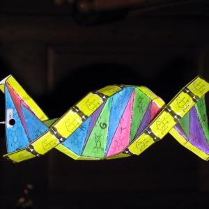 DNA origami Market Share 2022 Global Business Industry  Revenue, Demand and Applications Market