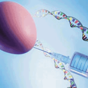 Preimplantation Genetic Testing Market developing Industry Impact, Research Report 2021