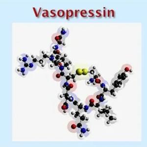 Vasopressin Market Analysis to 2021 - 2027 | Research Informatic