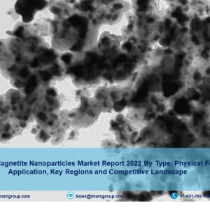 Magnetite Nanoparticles Market Share, Growth, Trends and Size 2022-27
