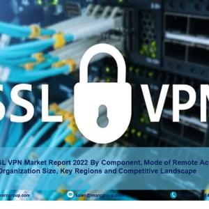 SSL VPN Market Share, Size | Global Industry Forecast 2022-2027
