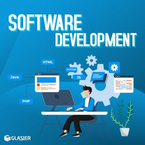 Top Custom Software Development in India