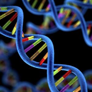 Genomics Market Size, Share, Trends and Forecast 2021-2027