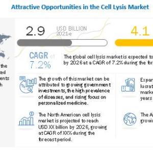 Cell Lysis Market Size, Trends and Forecast to 2026