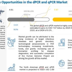 Digital PCR Market Statistics - Segment Analysis - Forecast - 2025