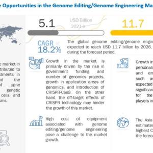 Genome Editing Market Size and Growth Analysis By 2026
