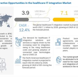 Rapid Growth Predicted: Global Healthcare IT Integration Market Outlook