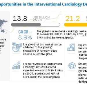 Interventional Cardiology Devices Market Share, Growth, Industry Forecast 2025