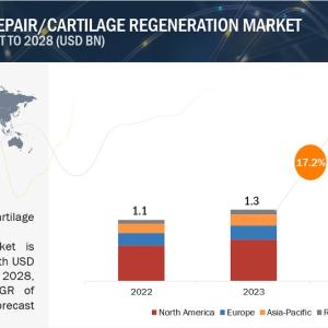 Restoring Functionality: Exploring Growth Trends in Cartilage Regeneration Market