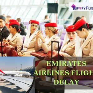 Emirates Airlines Flight Delay: What to Do Next