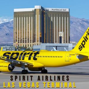 How to Find the Best Deals and Discounts on Baggage Fees for Spirit Flight at Las Vegas Airport