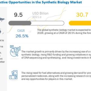 Synthetic Biology Market Forecast: 25.6% CAGR to Accelerate Growth During 2022-2027