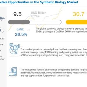 Synthetic Biology Market Analysis, Insight, & Scope for Expand to Latest Development 2026