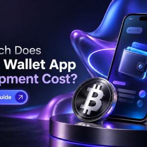 How Much Does Crypto Wallet App Development Cost?