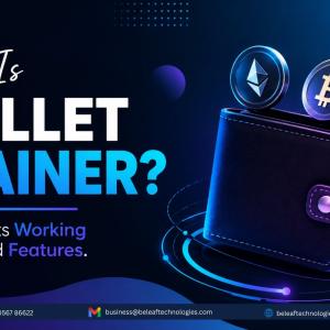 What Is Wallet Drainer? A Guide to Its Working Process and Features