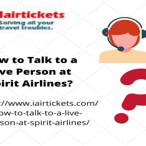 How can one talk to a Spirit Airlines Representative?