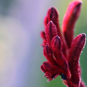 Creating Low-Maintenance Landscapes: Tips for Long-Term Cost Savings