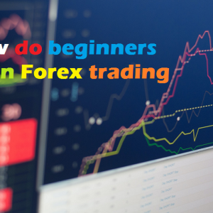 How do beginners learn Forex trading