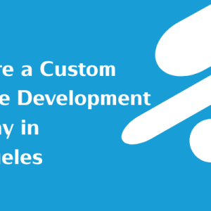 Why Hire a Custom Software Development Company in Los Angeles 