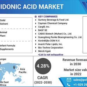 Arachidonic Acid Market 2023-2032