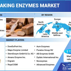 Baking Enzymes Market 2023