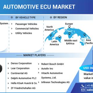 Automotive Ecu Market