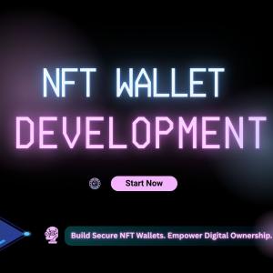 How Can Businesses Develop a Multi-Chain NFT Wallet?