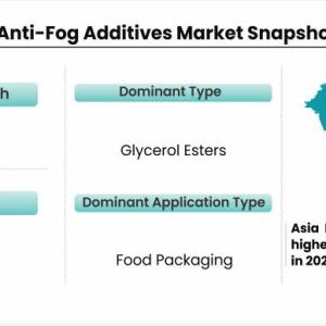 Anti-Fog Additives Market