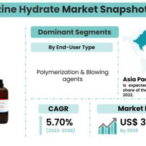 Hydrazine Hydrate Market