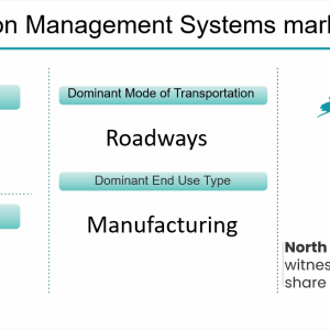 Transportation Management Systems