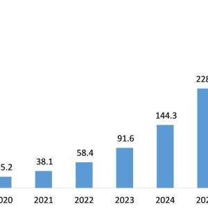 Extended Reality Xr Market
