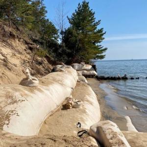 Geotextile Tubes Market Size, Share | Growth 2032