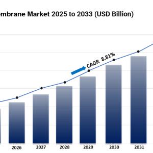 Eggshell Membrane Market Size, Share And Growth Report 2033