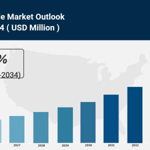 Guacamole Market Size, Share, Growth And Forecast Report 2034
