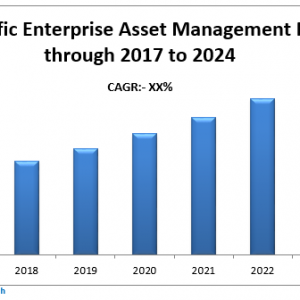 Asia Pacific Enterprise Asset Management Market 