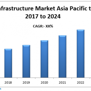 Asia Pacific Critical Infrastructure Market 