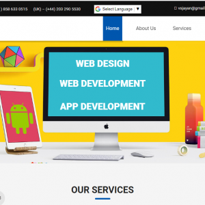 Benefits of using  freelance developer :