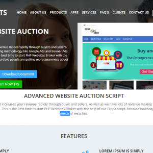  Advantage Of Using Website Auction Script