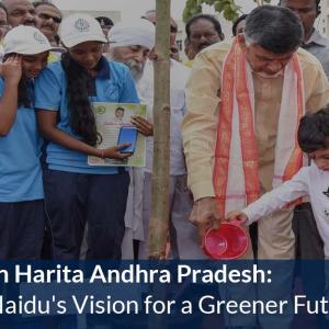 Mission Harita Andhra Pradesh: Chandrababu Naidu's Vision for a Greener Future 