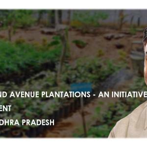 Village Parks and Avenue Plantations - An Initiative by TDP Government to a Greener Andhra Pradesh 