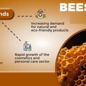 Beeswax Market Strategies: How to Succeed in a Competitive Industry