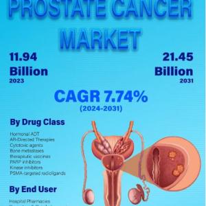 Prostate Cancer Market Share, Precise, Powerful, & Measurable Forecast 2031